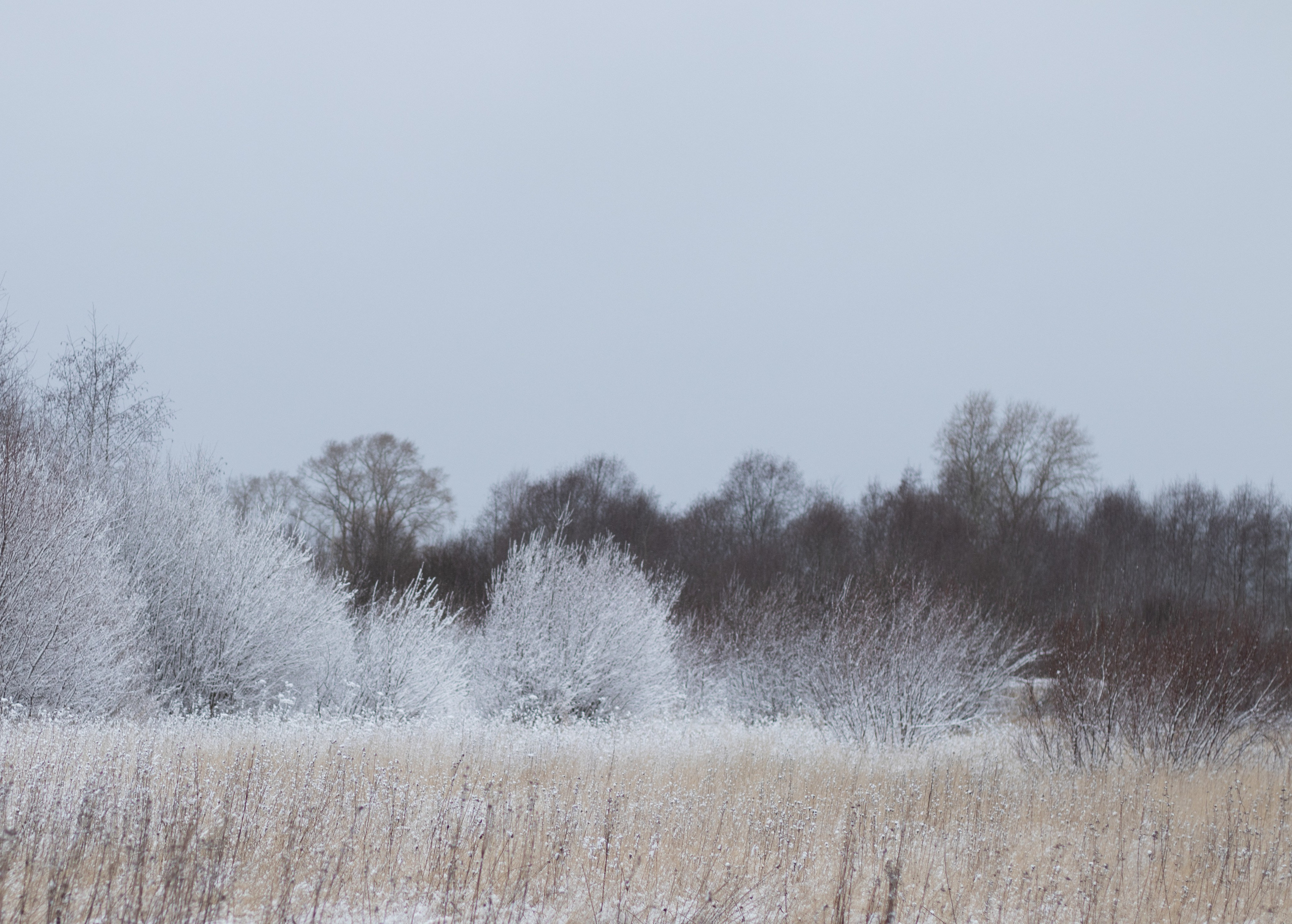 艺术印刷品 – 限量版摄影，装点您的空间
