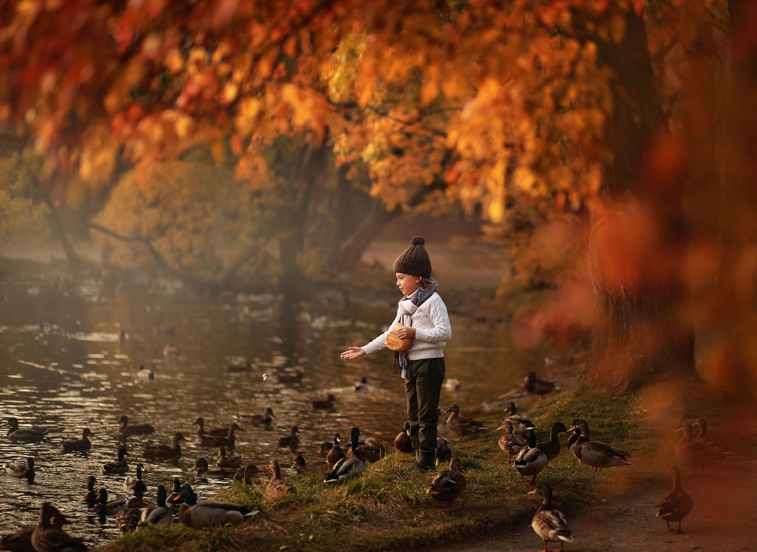 Авторские экшены для Adobe Photoshop. Ольга Котова