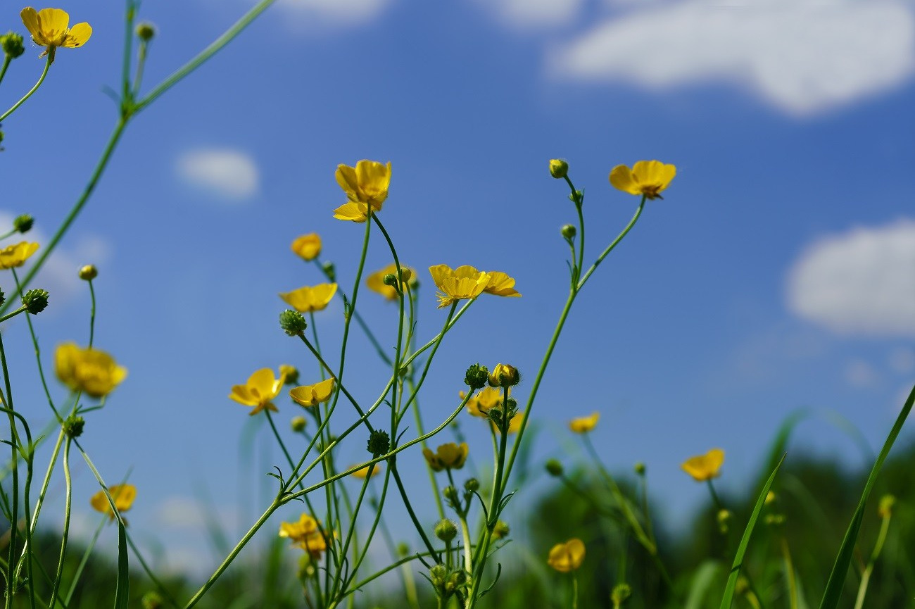 Мой «Цвет в кадре». Фотохудожник в Москве Виктория Лаврова Искусство авторской фотографии для Вас