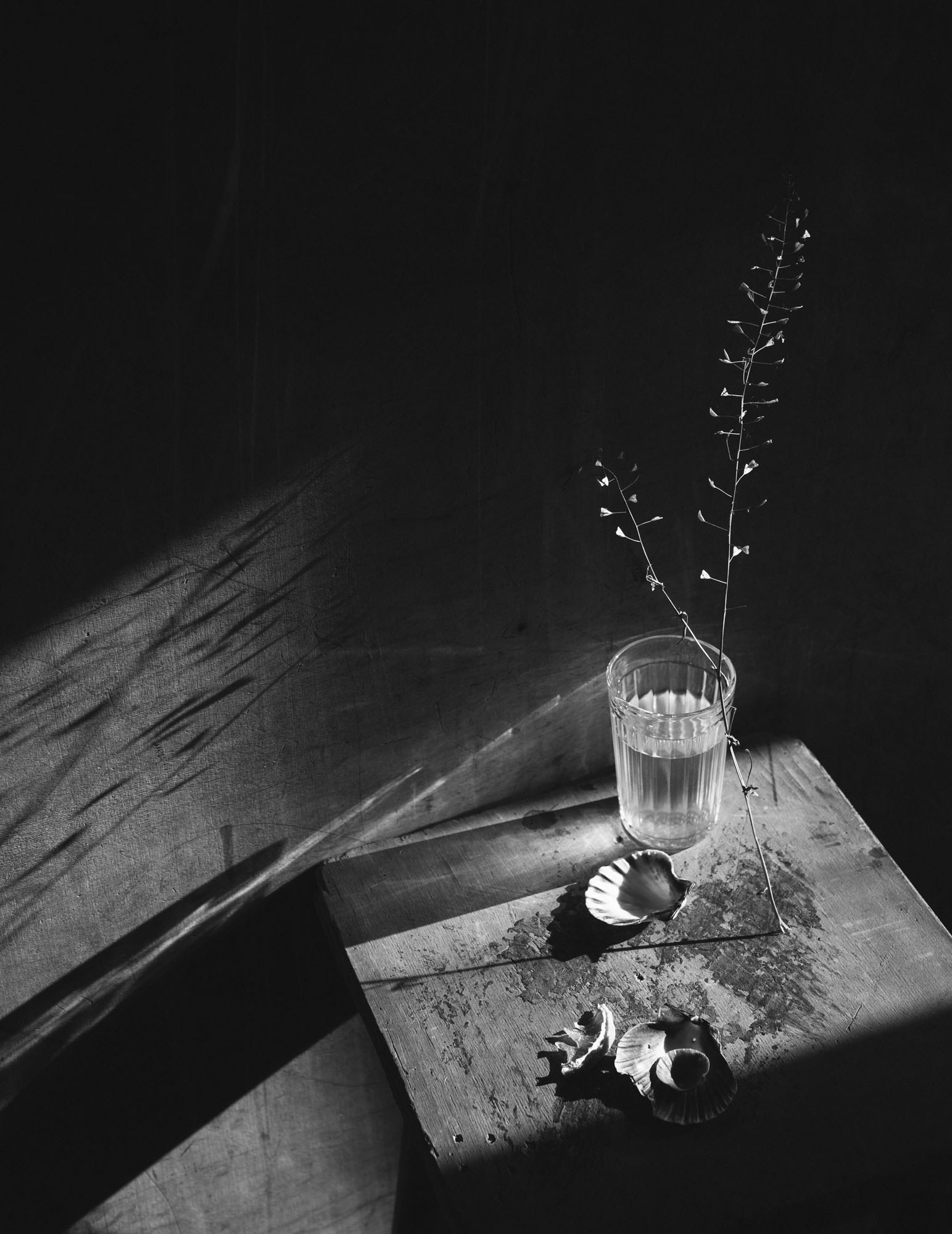 Фотоконкурс «Светопись». Фотограф Елена Хазина, Рязань