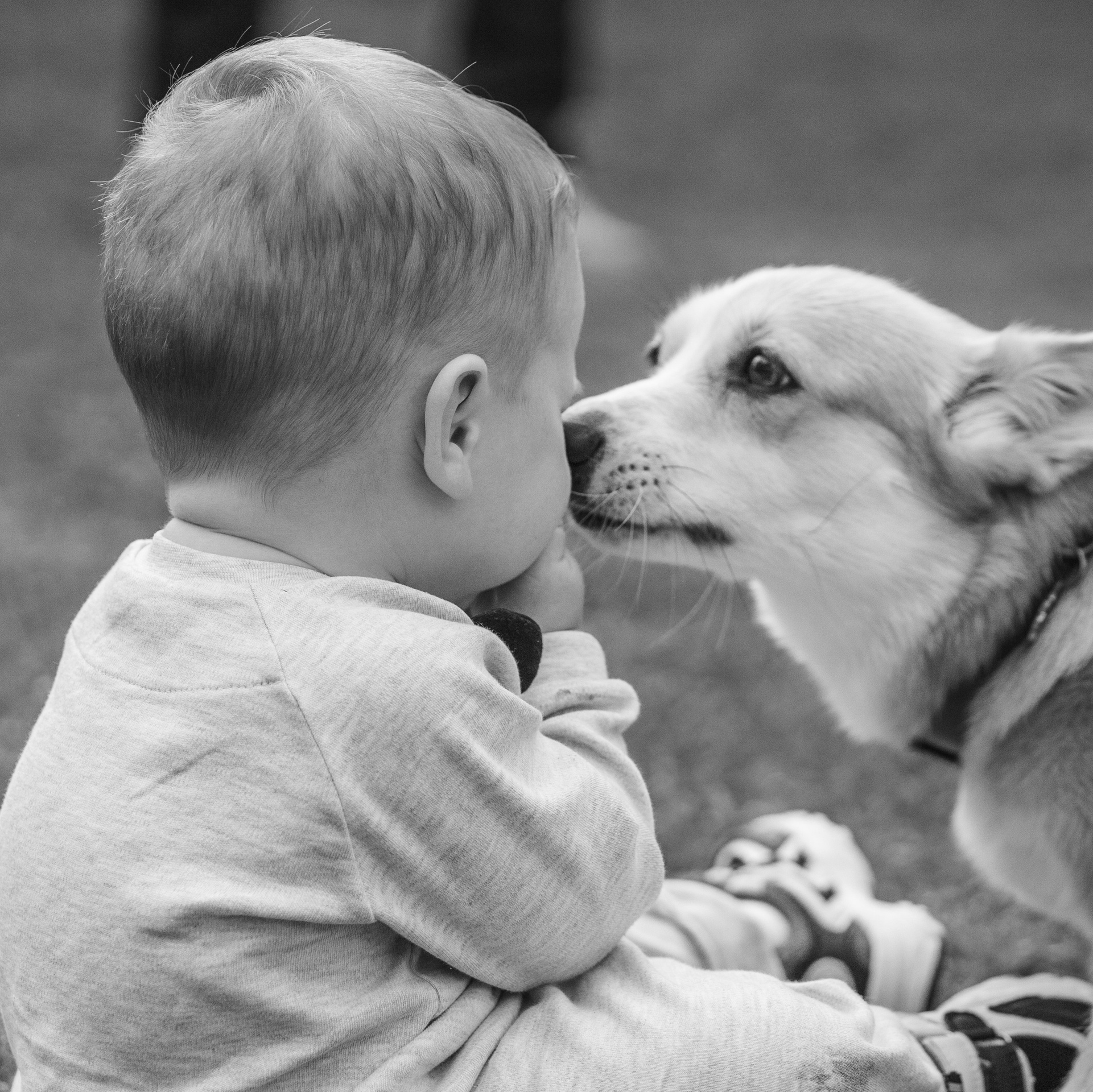 Услуги. Bayt Of Love