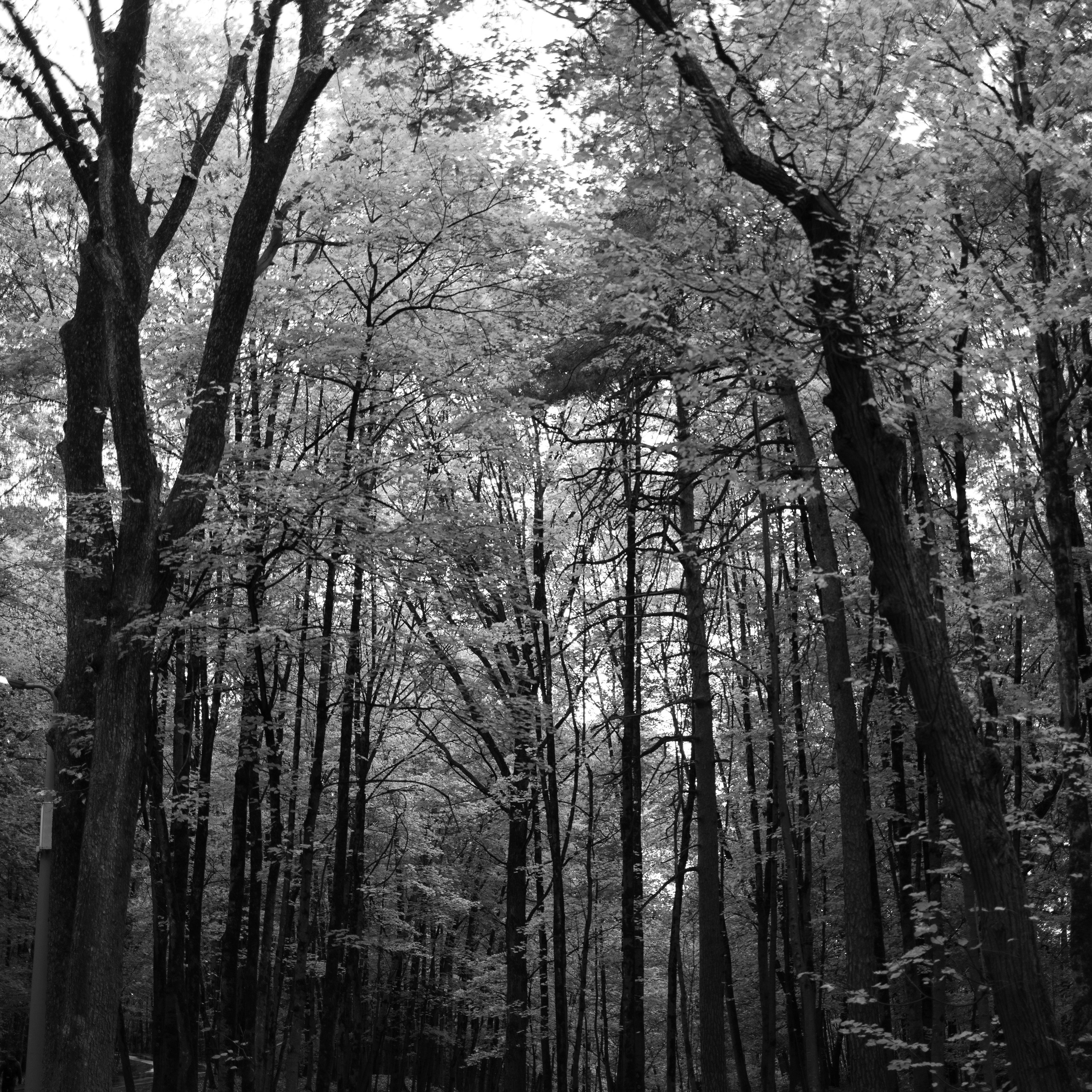 Фотограф Юлия Польская