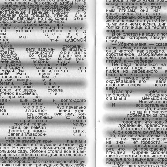 Расписание актуальных курсов. Самоорганизация Низина