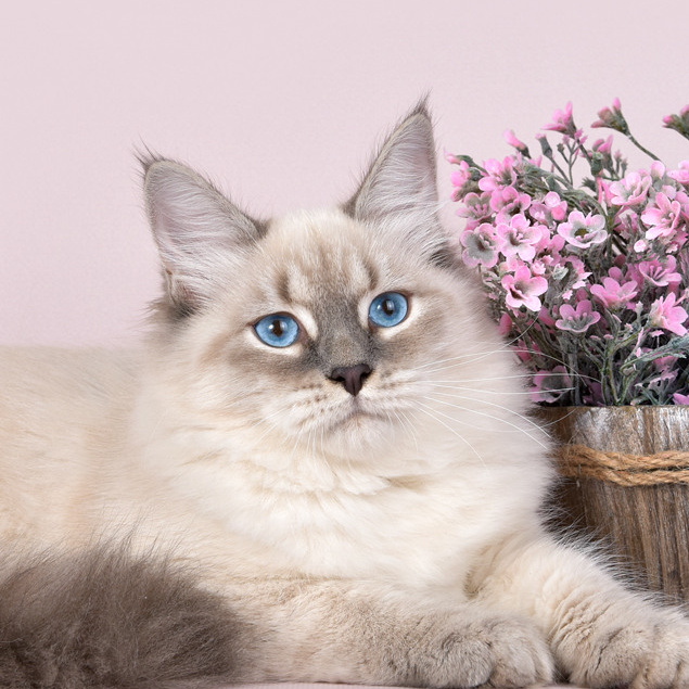 Контакты. Главная