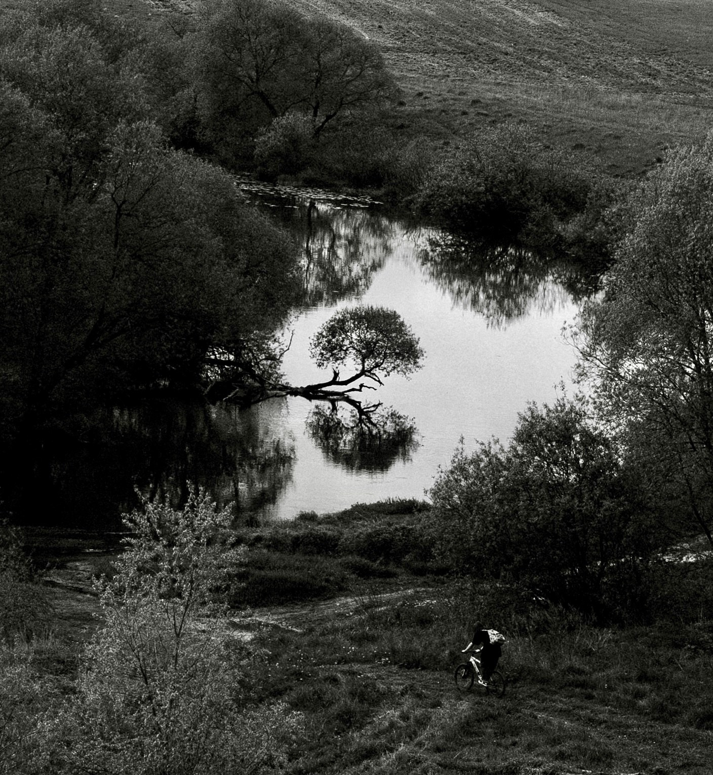 Кайтмазова Надежда. Организация фотовыставок в Петербурге и Москве, MFamilia (МФамилия)