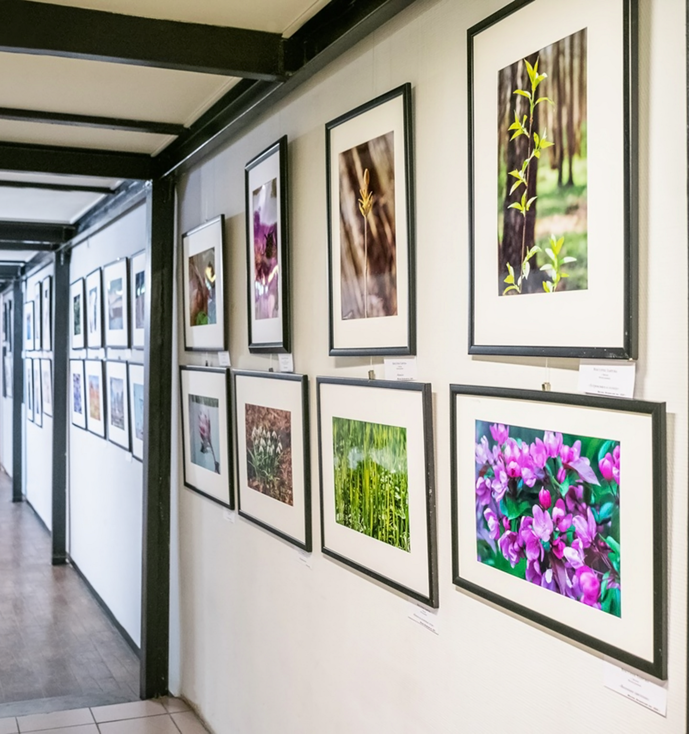 Фотоработы фотохудожника Виктории Лавровой в экспозиции выставки "ФОТОСЕЗОНЫ-2024" в Москве