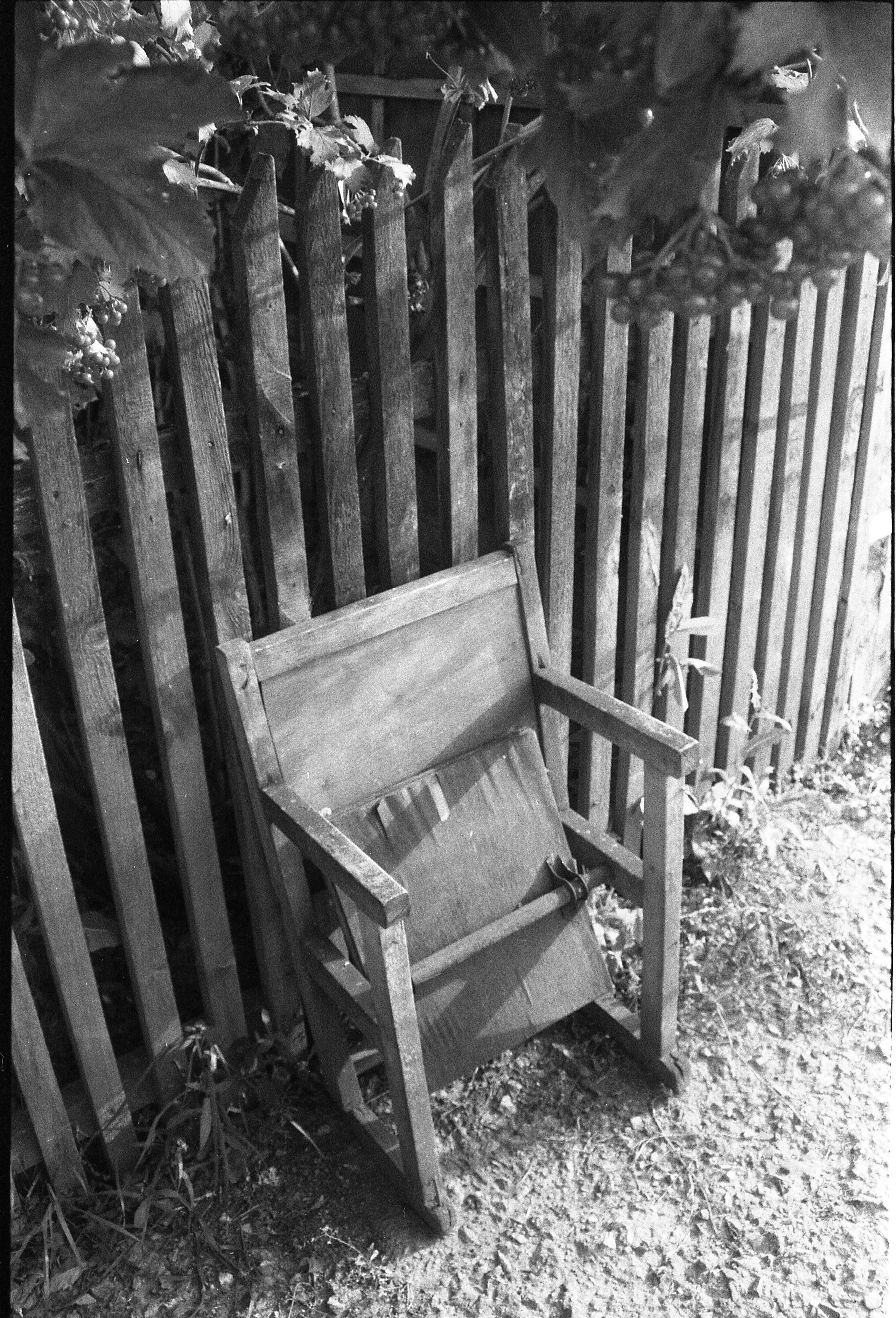 Художник. Фотограф