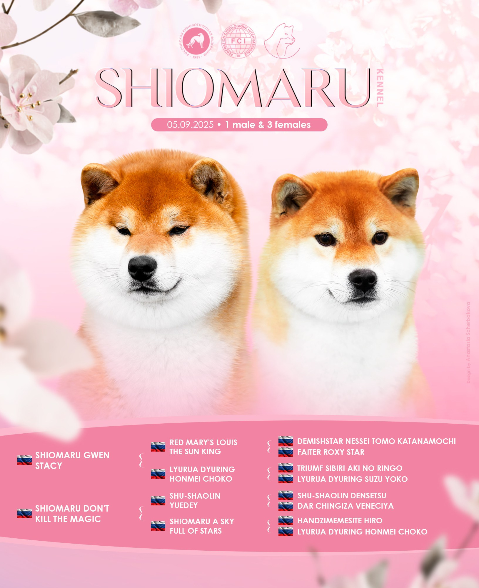 СИБА. SHIOMARU Питомник сиба и акита-ину