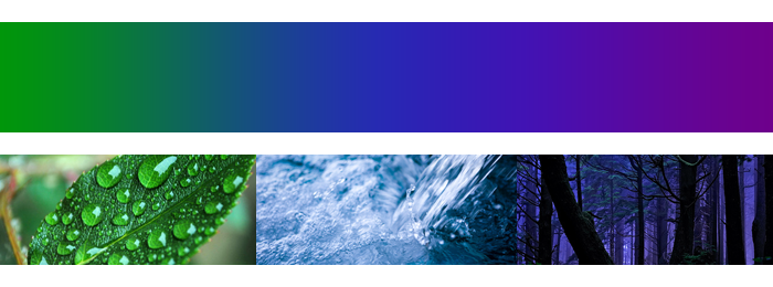 КАК РАБОТАТЬ С ЦВЕТОМ В ОДЕЖДЕ?. Семейный Фотограф в Туле Юлия Федотова