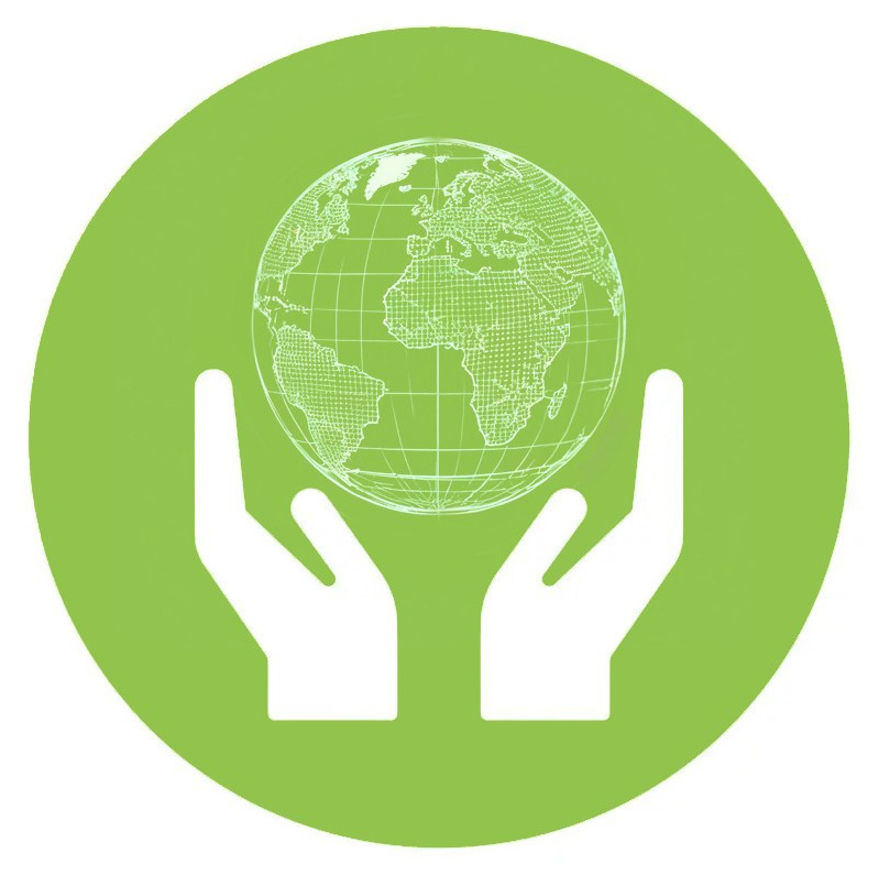 Наша команда. АНО «Центра социальных проектов «Путь в большой мир»