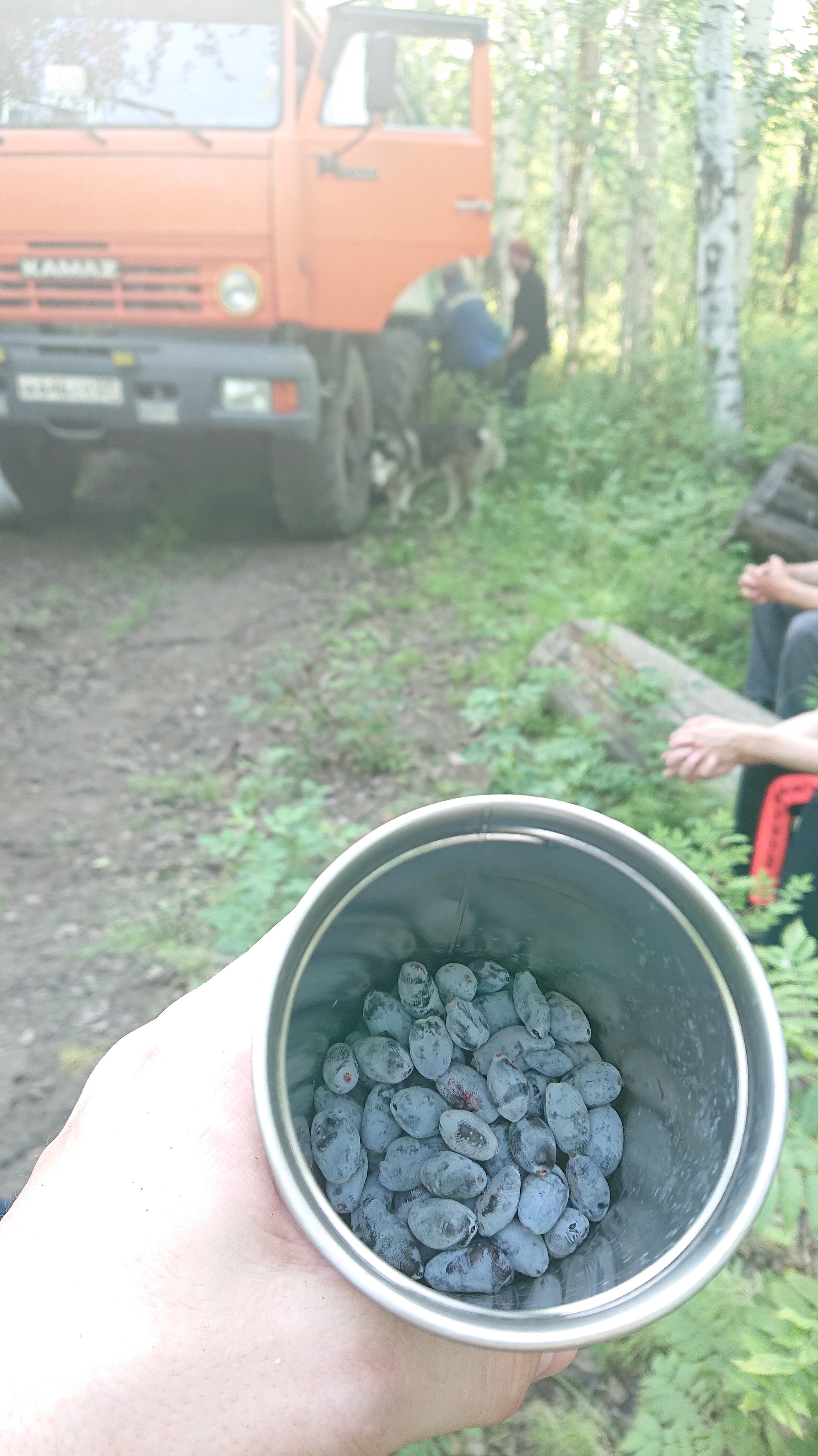 Камчатка. Фототрип. Тур?. Семоха Валерий. Фотограф