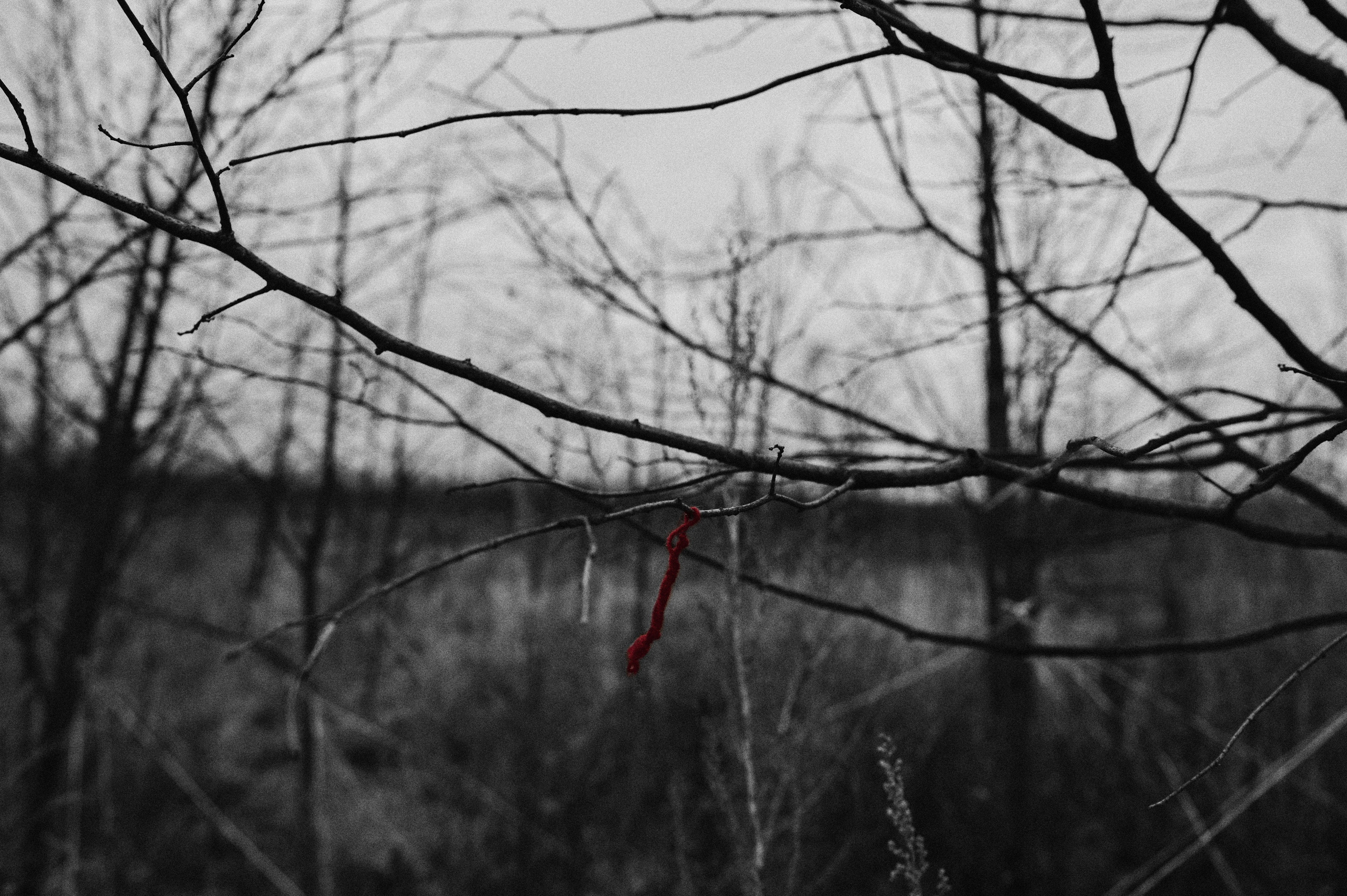 Перформанс «Лес мыслей». Коммерческий фотограф в Казани Ксения Добролюбова