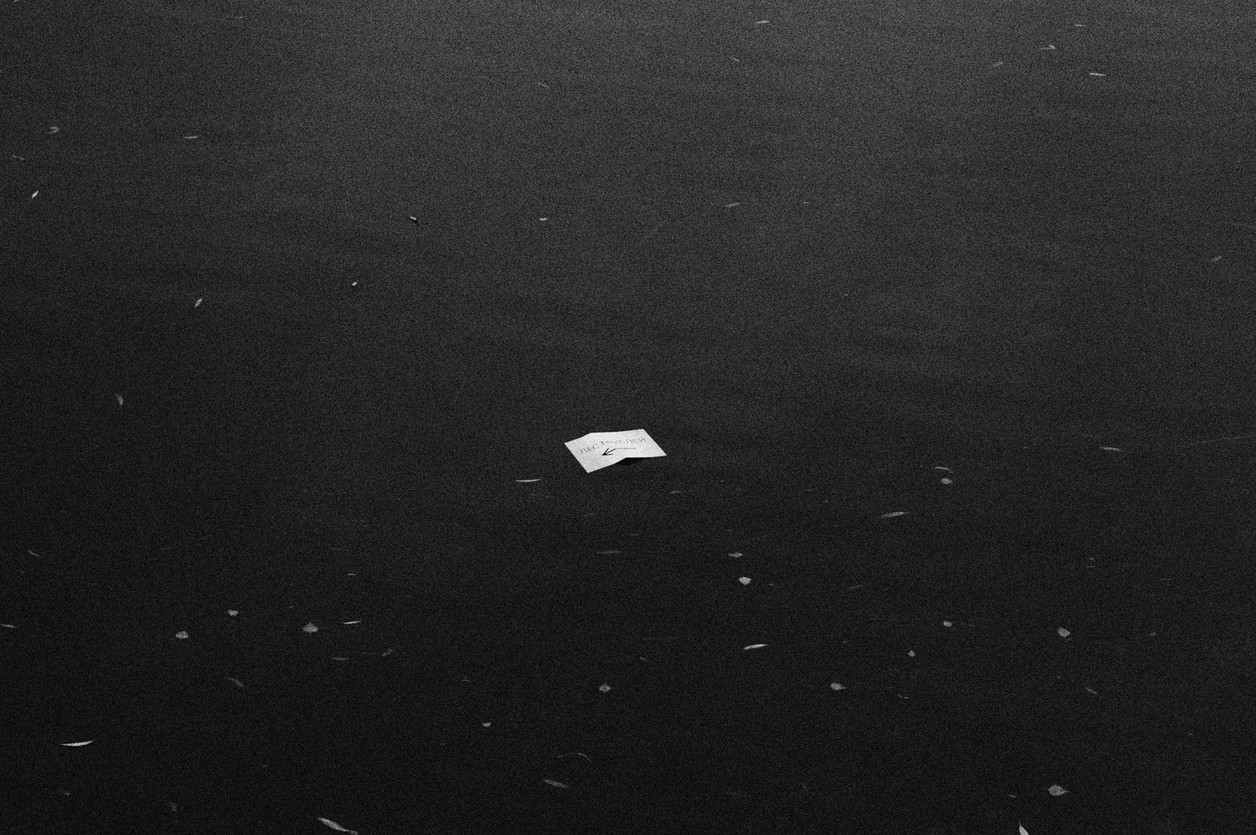 Перформанс «Лес мыслей». Коммерческий фотограф в Казани Ксения Добролюбова