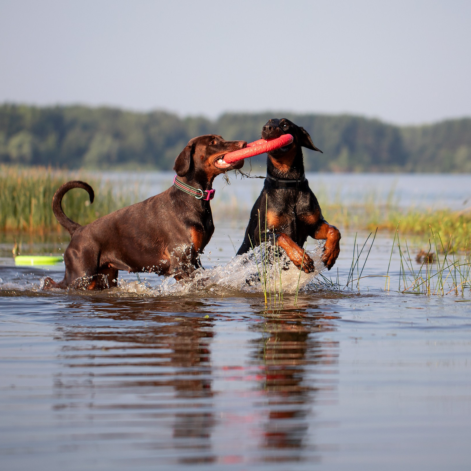 Контакты. Boldinova Yulia фотограф Москва