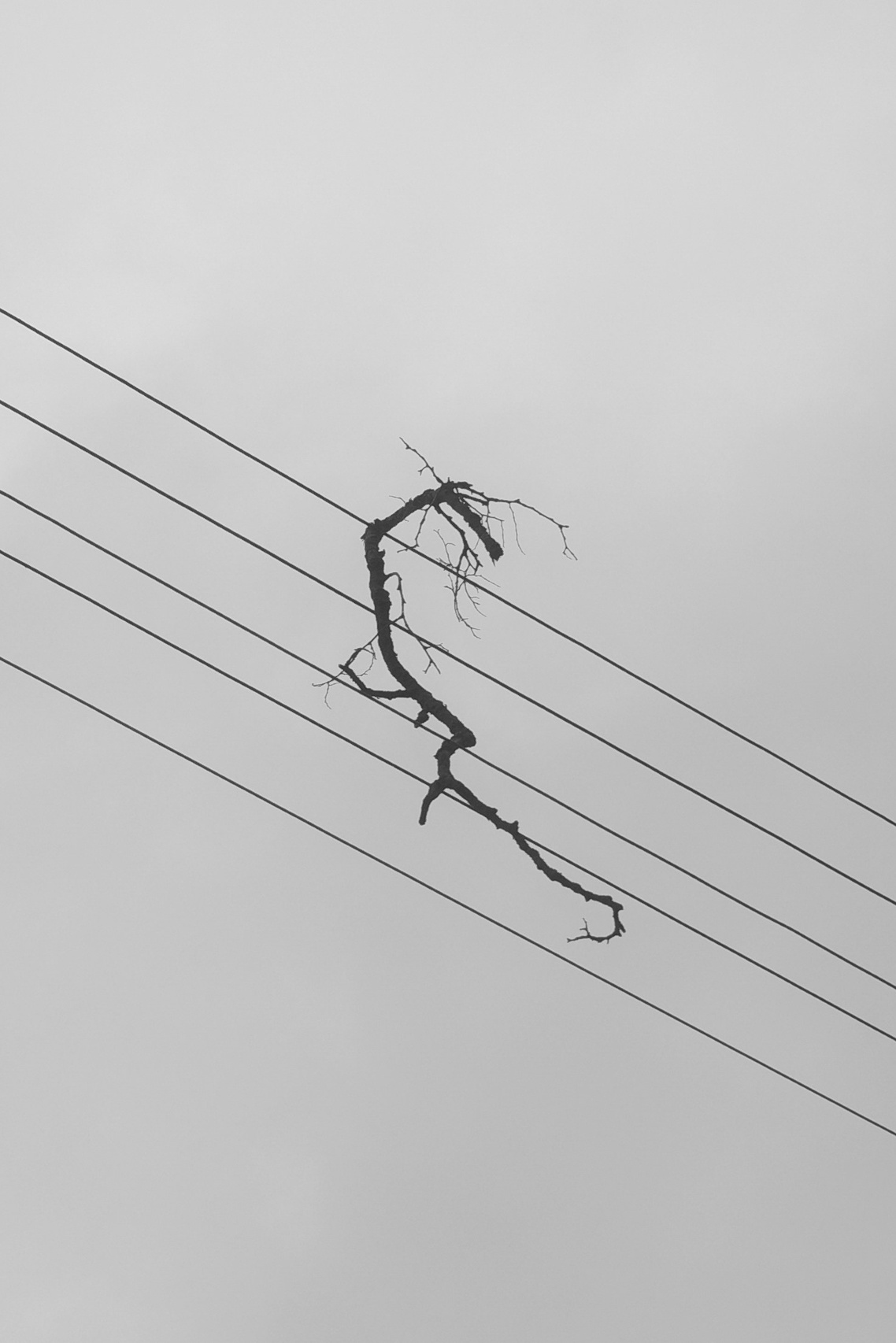 COMMERCIAL. Фотограф Злата Спицына