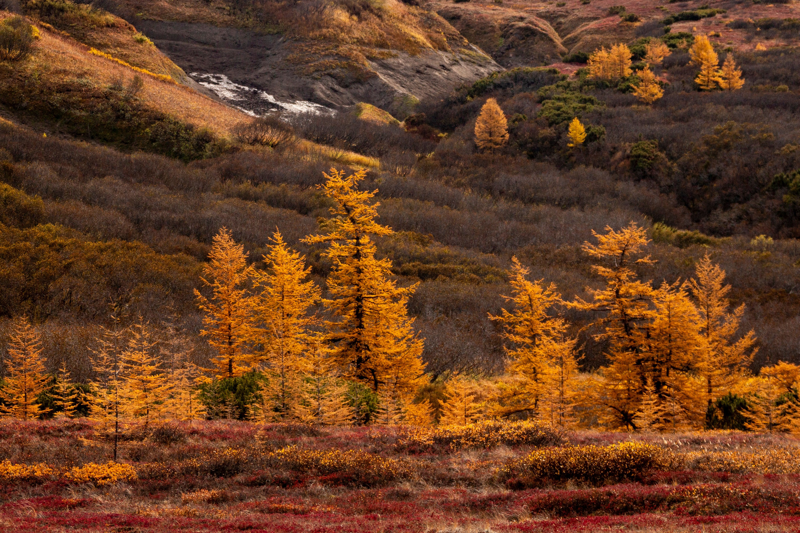 Фототур на Толбачик — марсианские ландшафты Камчатки. Время Камчатки: чтобы найти свой путь, нужно скорость умножить на время