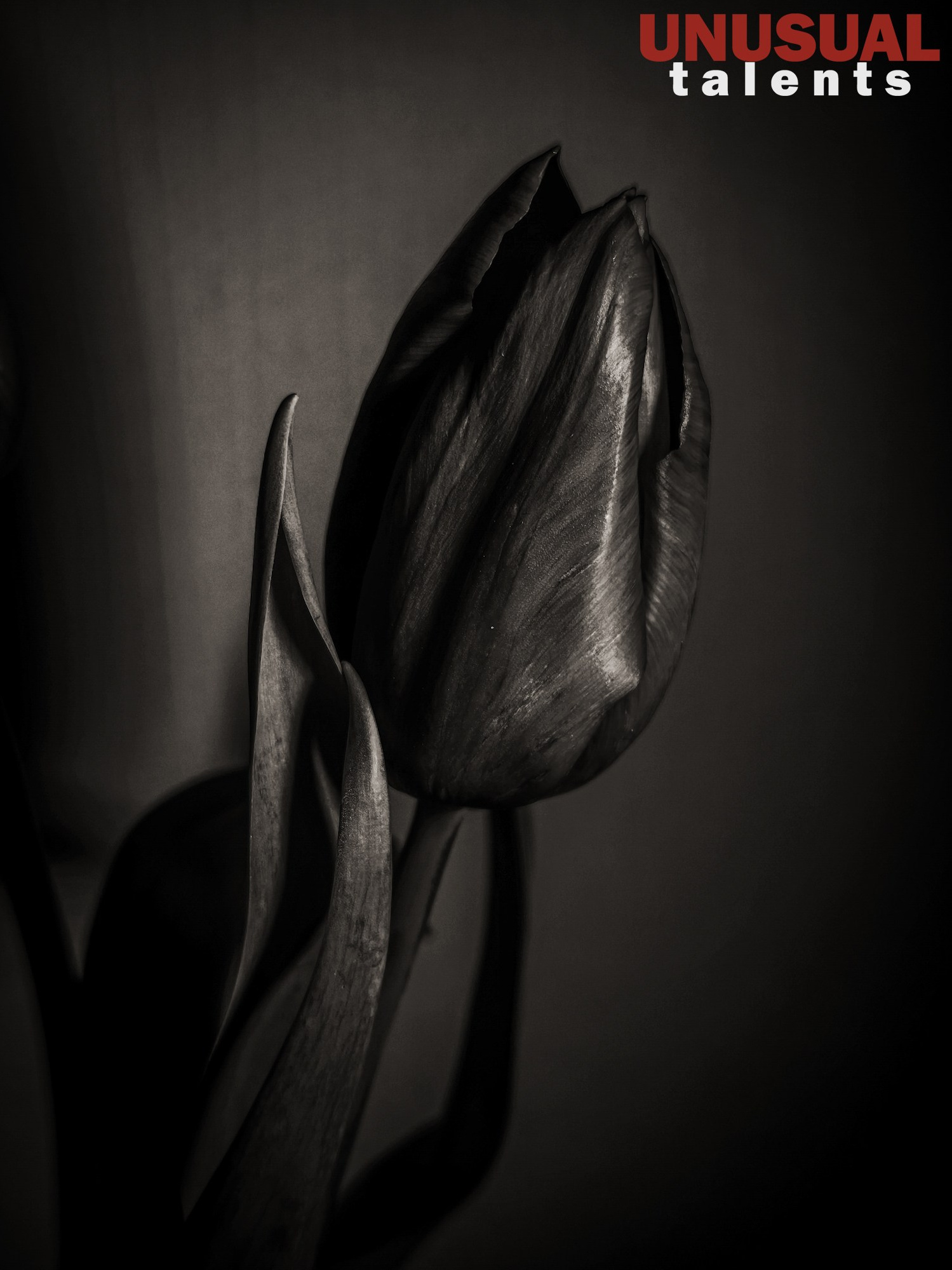 April 2026. UNUSUAL TALENT magazine
