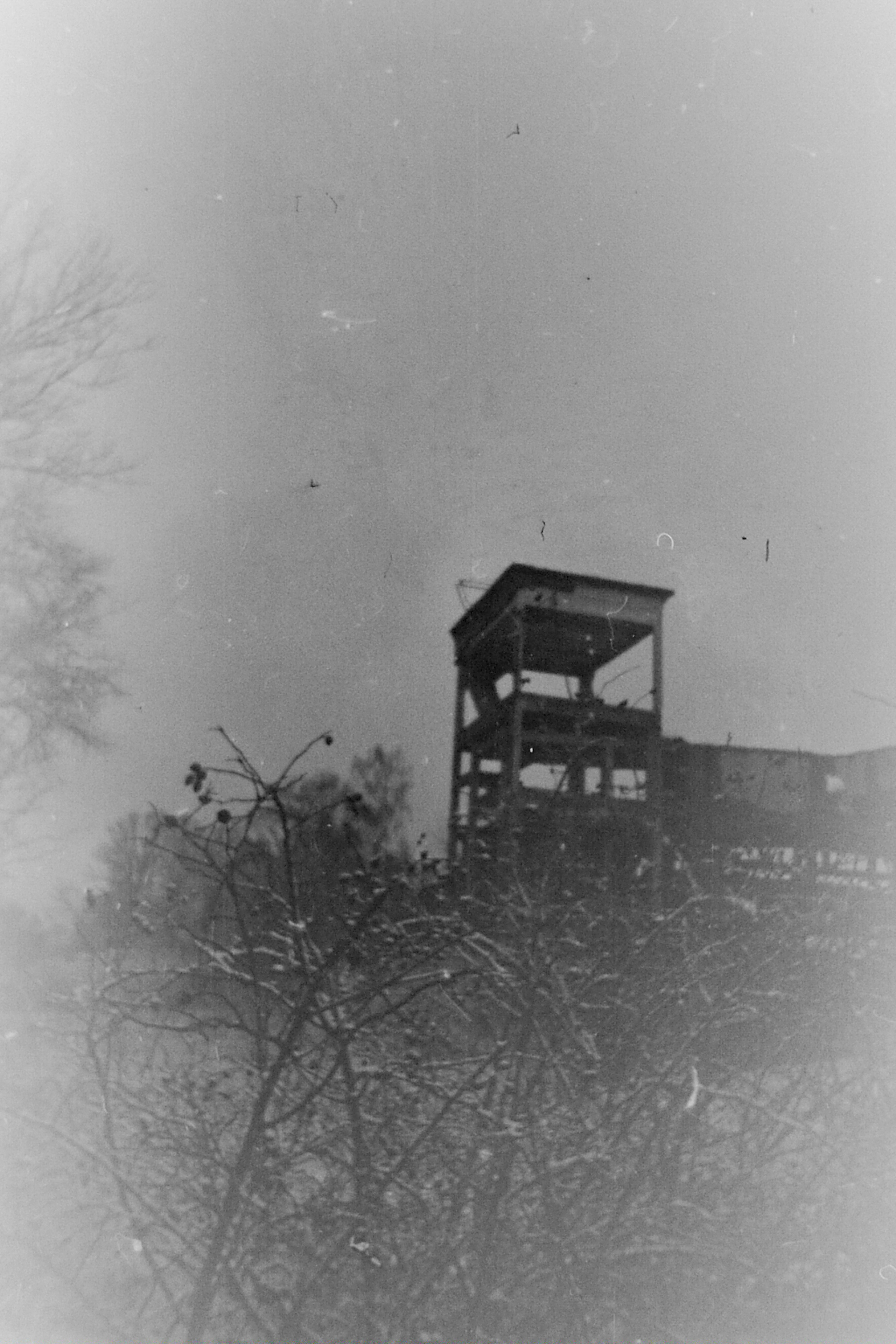 Кураторский проект «Инородное тело»