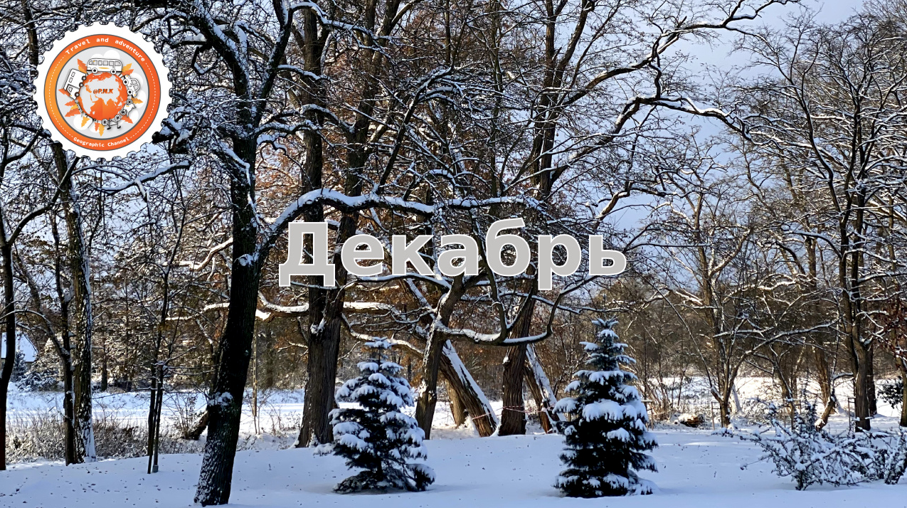 Фестивали. Своя Мастерская