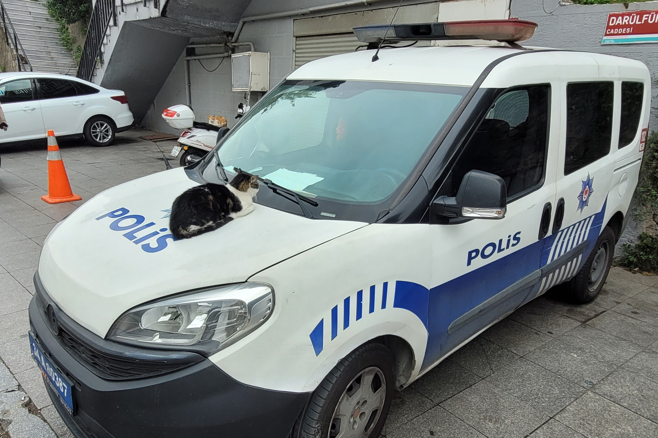 Турция — Стамбул. Илья Варин — Фотограф Москва, Тверь