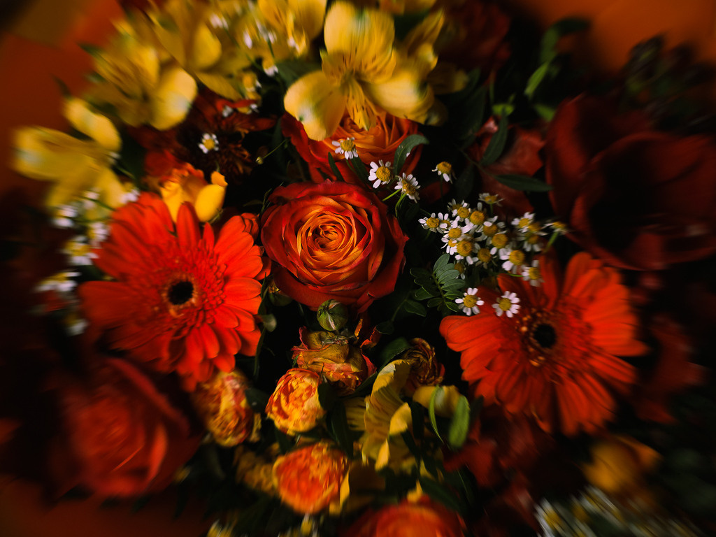 При виде ваших фотографий то же самое испытывают люди, которым вы очень дороги.  Для клиента шанс попасть в&nbsp;мечту, в&nbsp;тот фильм, который вы&nbsp;заслуживаете