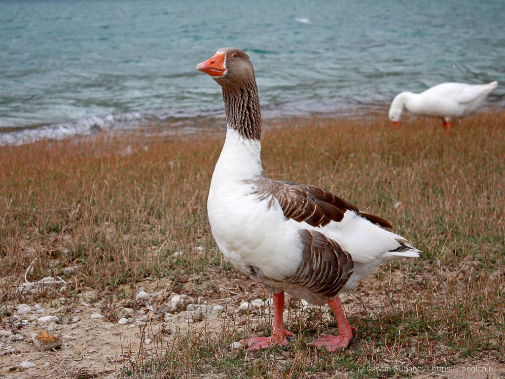 Путешествие в Грецию. Фотограф Иван Губанов