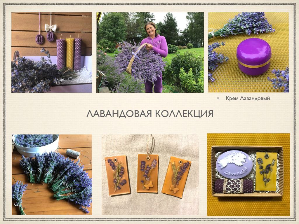 Территория экофермы Марии Гиппенрейтер. Эко отель Подмосковье. Эко отдых в Подмосковье в эко-отеле Марии Гиппенрейтер