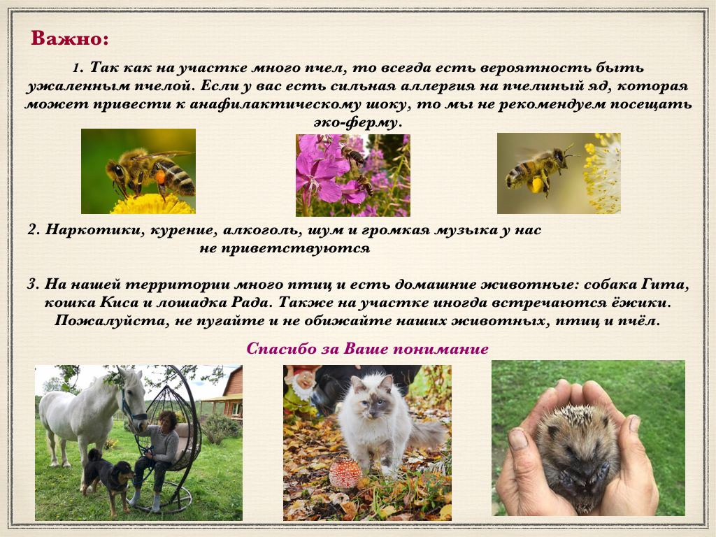 цены экофермы в Подмосковье 2