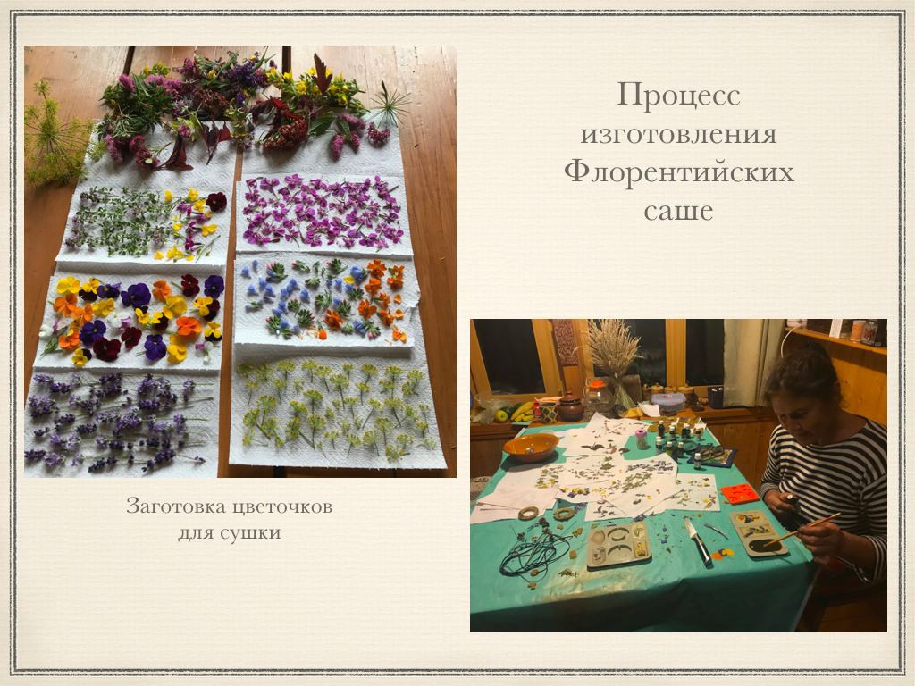 Экопродукция в Подмосковье. Эко отдых в Подмосковье в эко-отеле Марии Гиппенрейтер