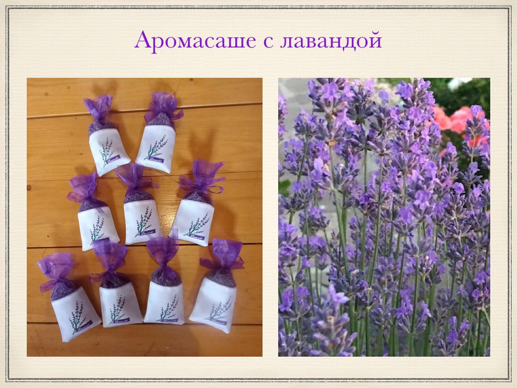 Экопродукция в Подмосковье. Эко отдых в Подмосковье в эко-отеле Марии Гиппенрейтер