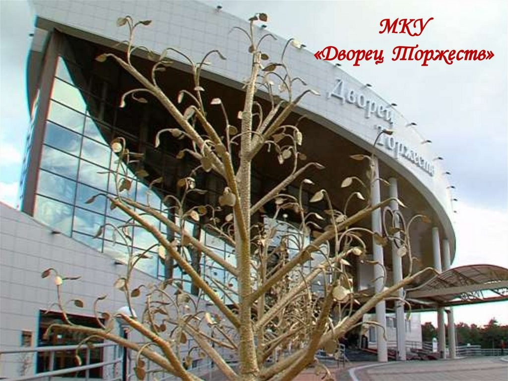 РЕКОМЕНДАЦИИ ПО ФОТОСЪЕМКЕ В ЗАГСе для моих клиентов