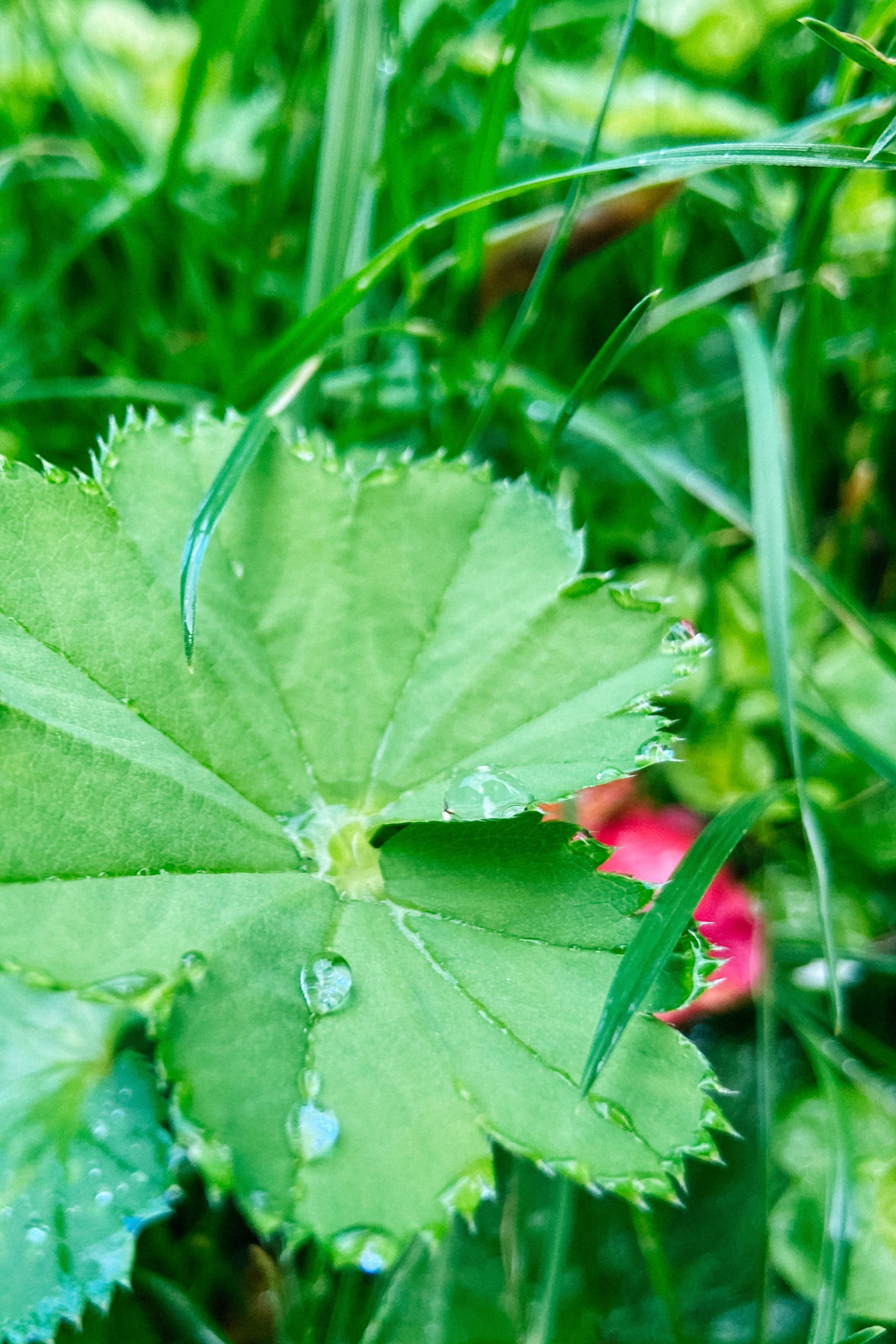 MODELS SCHOOL SRC MODELS. Фотограф в России, Семейный фотограф, репортажный фотограф, детский фотограф, портретный фотограф, контент фотограф, универсальный фотограф