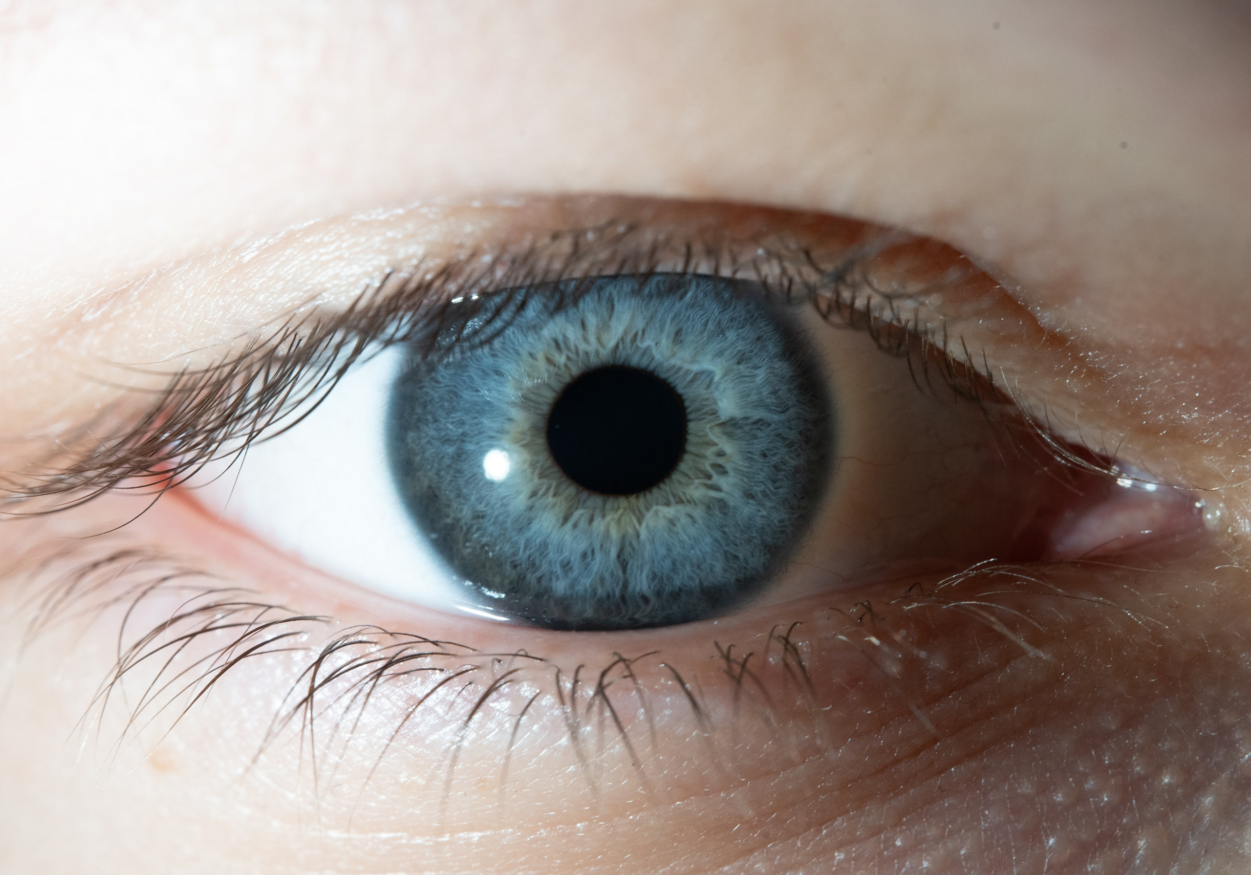 Соло радужки глаз, Севастополь, Ojo Art студия радужки глаз