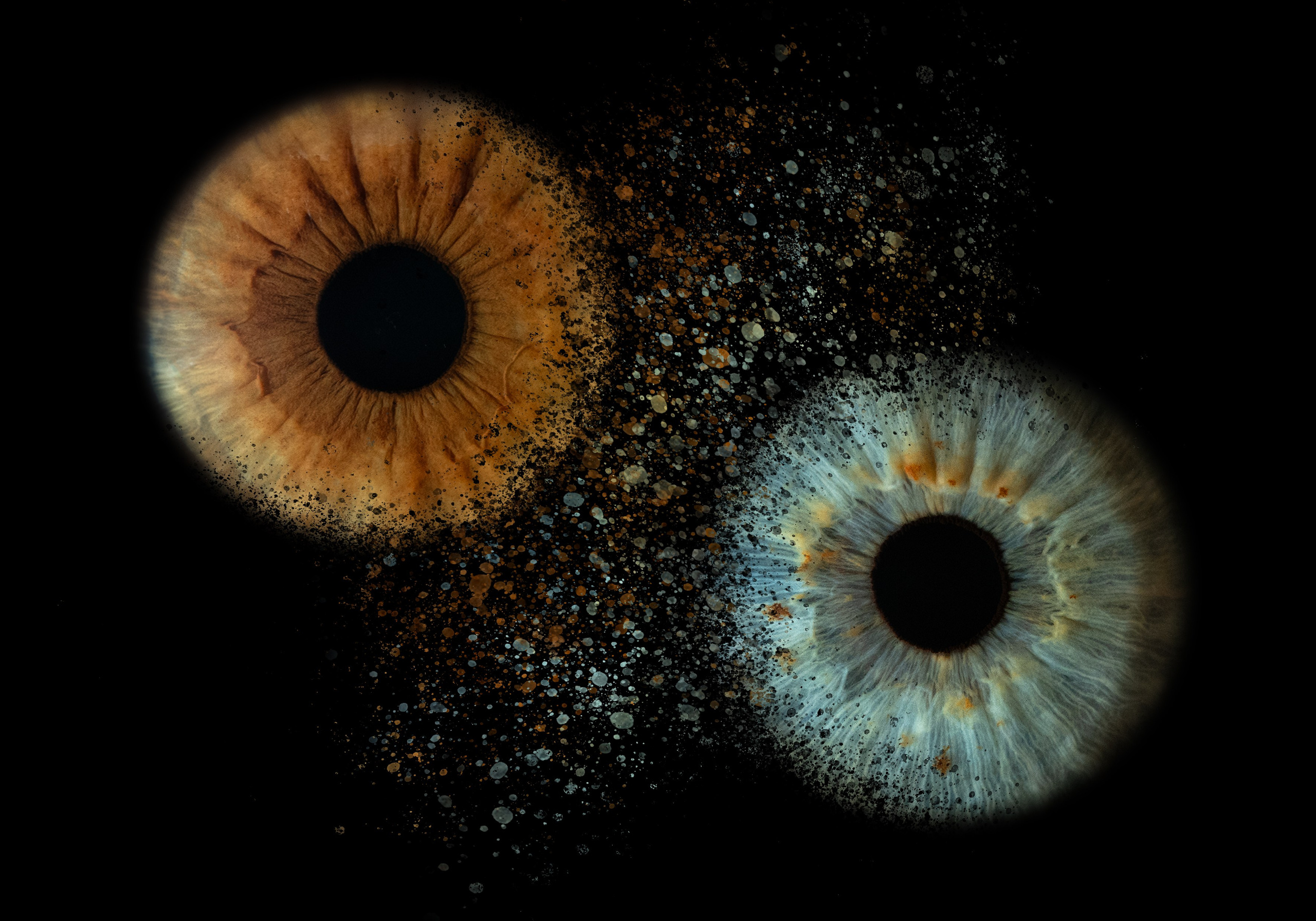 Две радужки, распадающиеся на частицы и сливающиеся в единое целое. Эффект метаморфозы: фрагменты узоров соединяются, создавая новый гармоничный образ. 