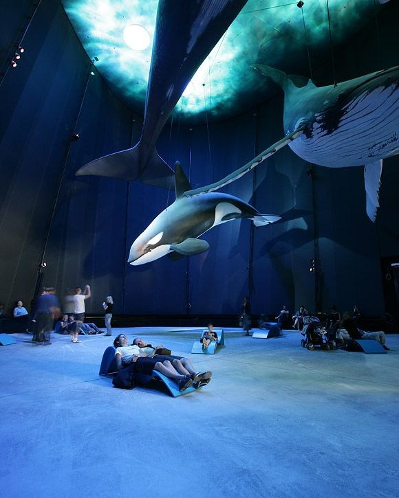 Диснейлэнд на осенние каникулы в Шанхае. Авторские туры для девушек. путешествия, тут можно купить тур