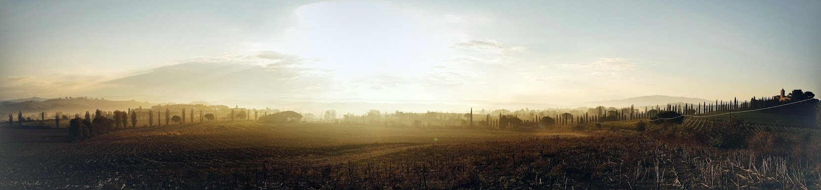 Тоскана. Италия. Октябрь 2014. Фотографии, впечатления, эмоции. Фотограф Игорь Цаплин