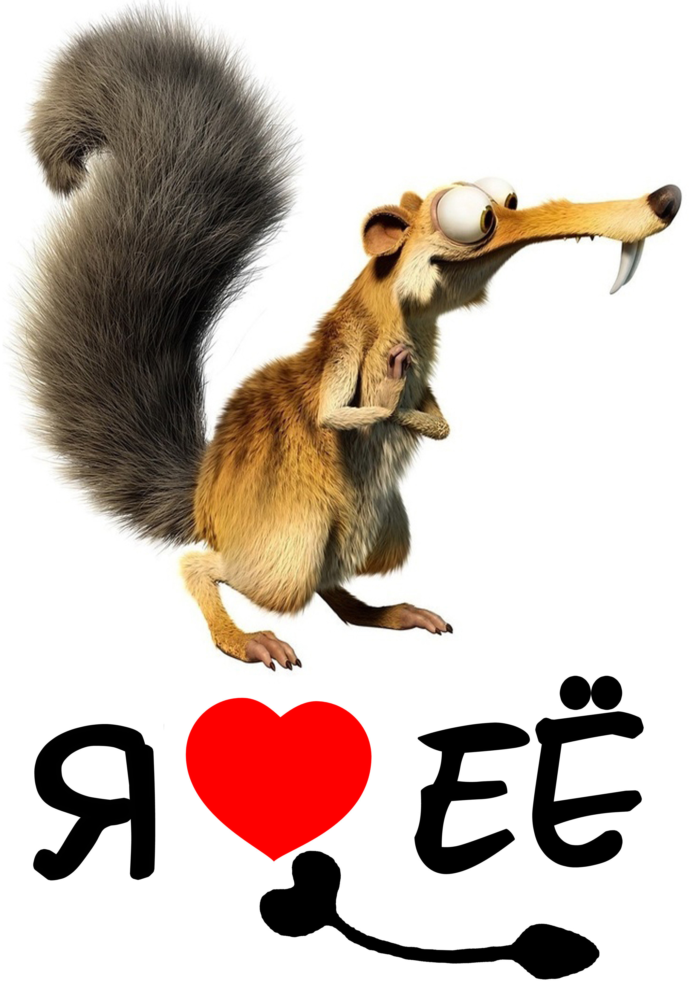 Фото товар. AISA Foto