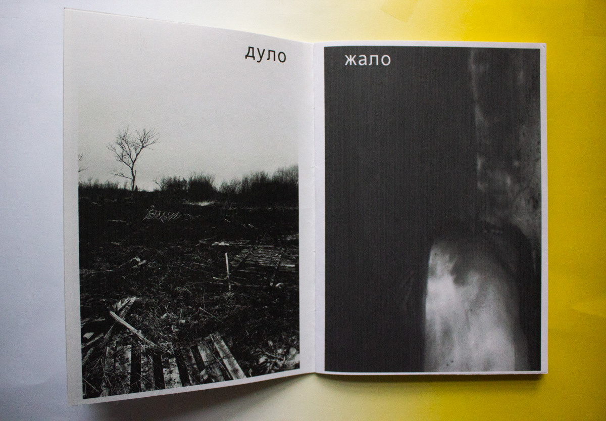 Ассоциация. Екатерина Подлеснов