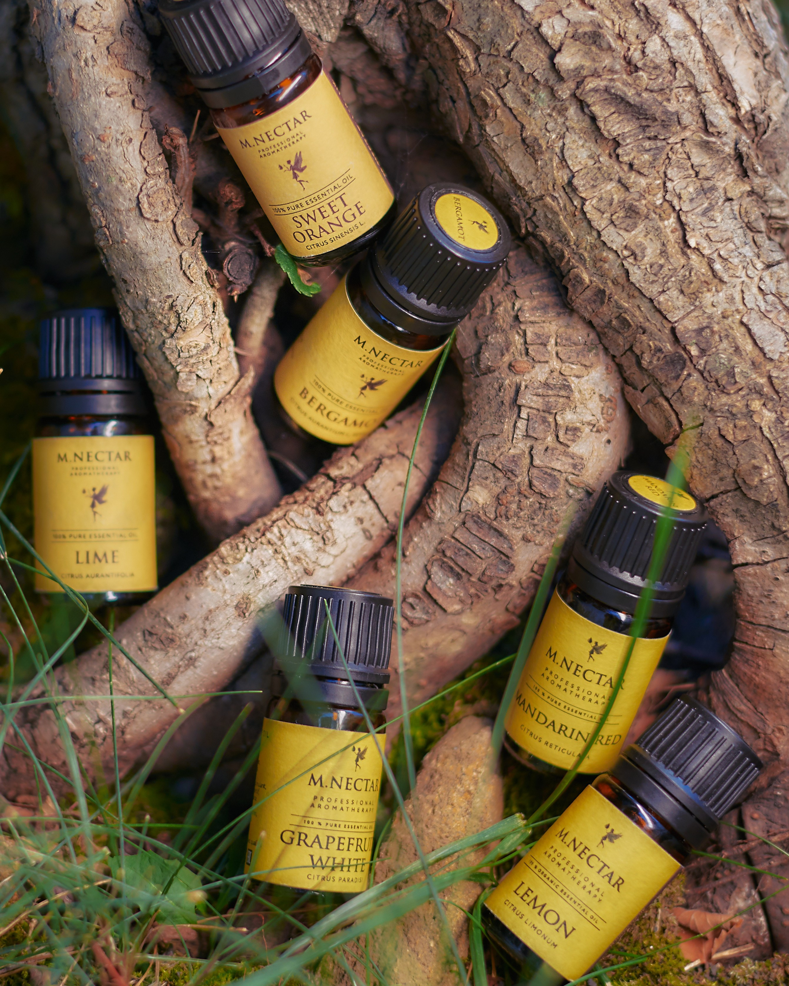 Анна Косинова | Профессиональная ароматерапия — мягкая поддержка эмоционального состояния