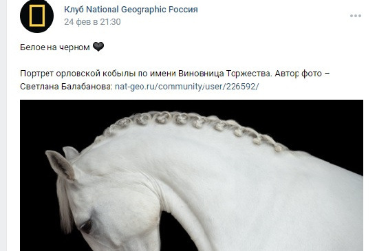 фотограф, фотовыставка, фотограф в СПб, питер фотограф, конный фотограф, съемка лошадей, конная фотография, профессиональный фотограф, фото лошадей, портреты лошадей, фото с лошадьми, заказать съемку лошади, авторские фотографии, публикации в изданиях, росфото, National Geographic, фотограф питер, конный фотограф спб, фотограф санкт-петербург