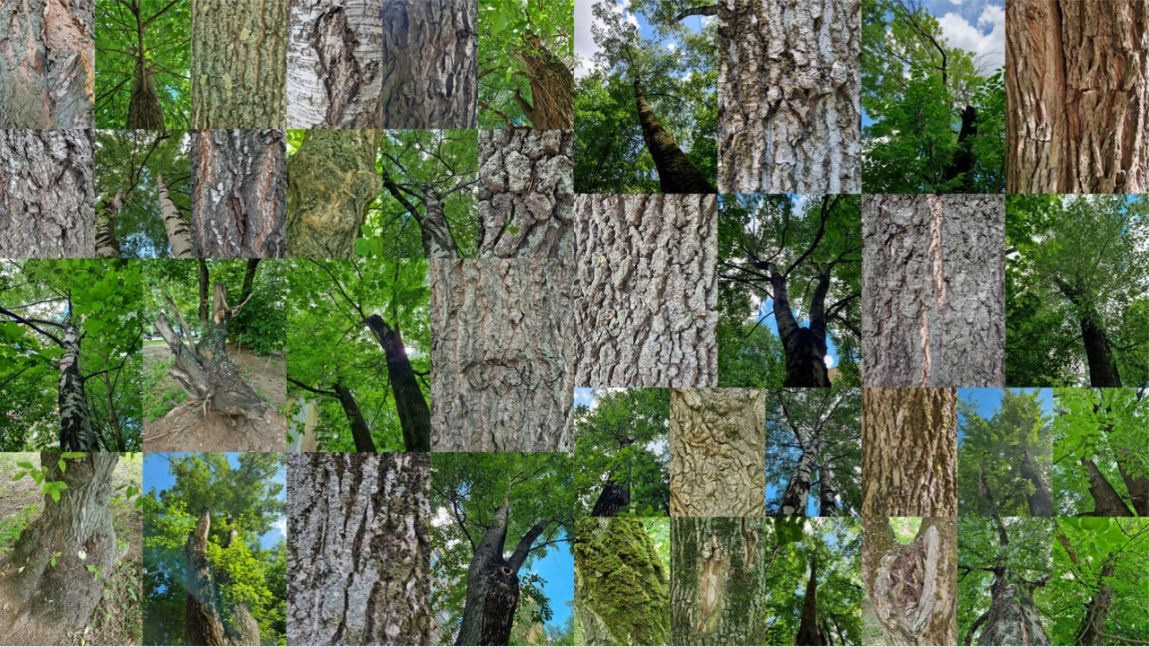 Листья опали там, где исчезли герои. Ангелина Богданова, междисциплинарная художница