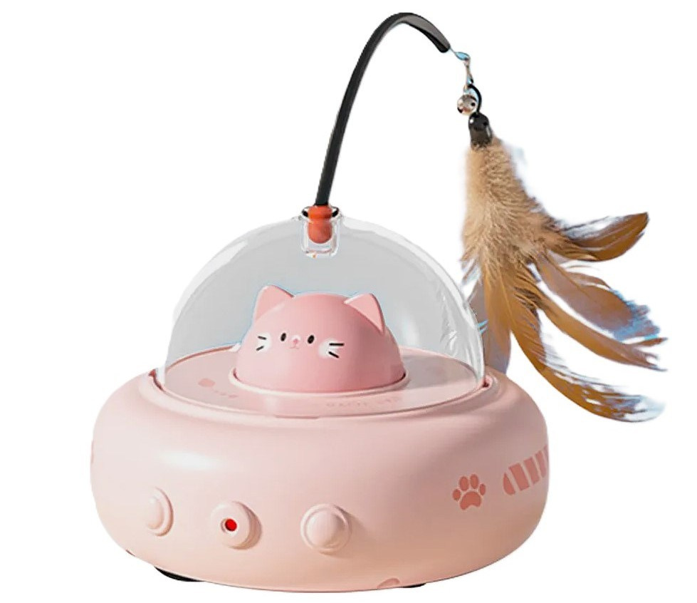 Котёнок американской бурмы. Las Burmas — питомник американской бурмы традиционных линий