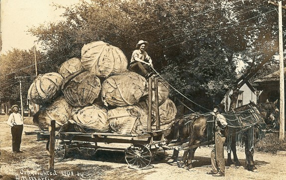 Как и когда появилась ретушь фотографии?. Свадебный и семейный фотограф Виктория Носачёва. Щелково, Москва и МО