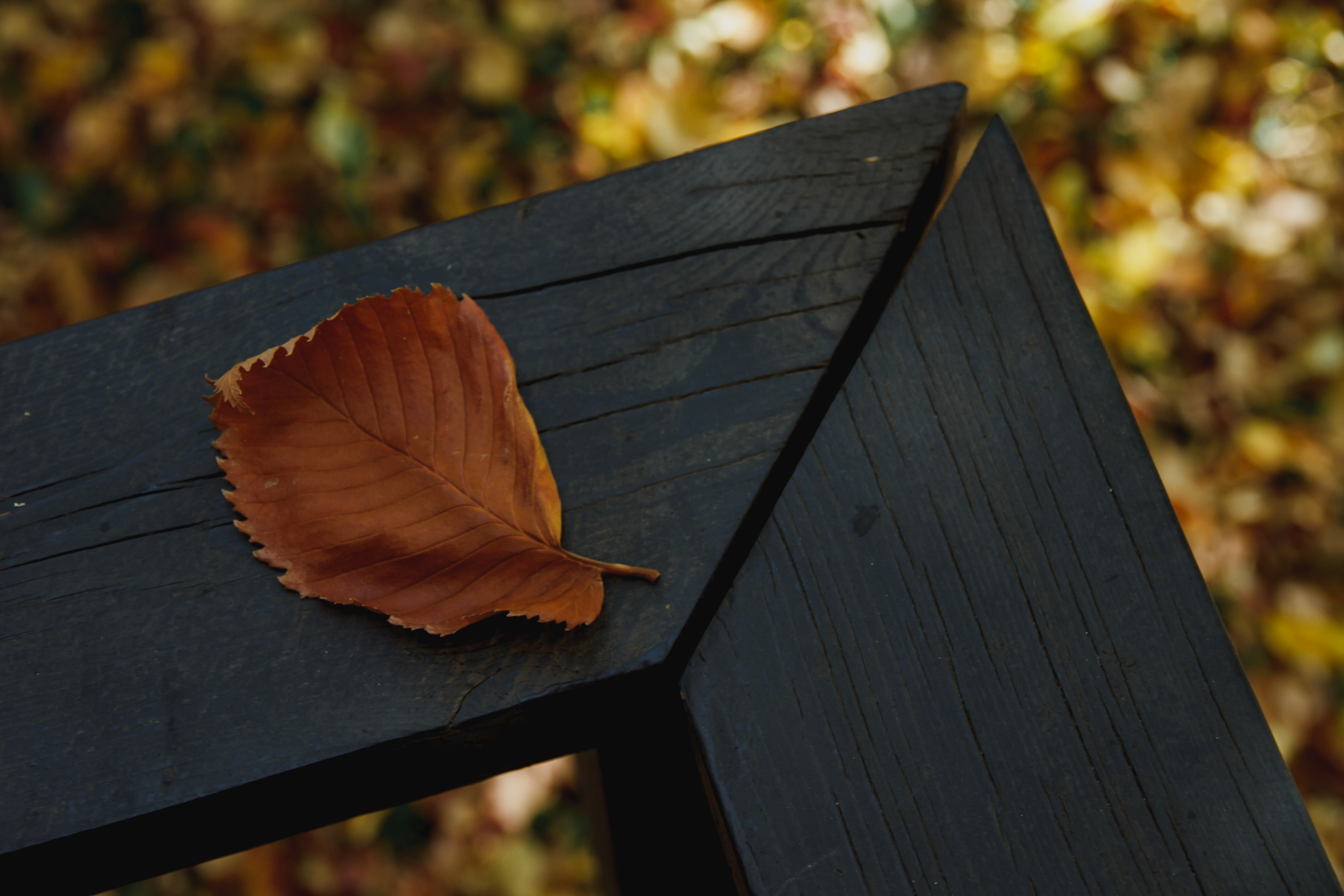 Нурлан & Юлия. Фотограф историй в Челябинске и Екб