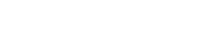 akimcev.ru
