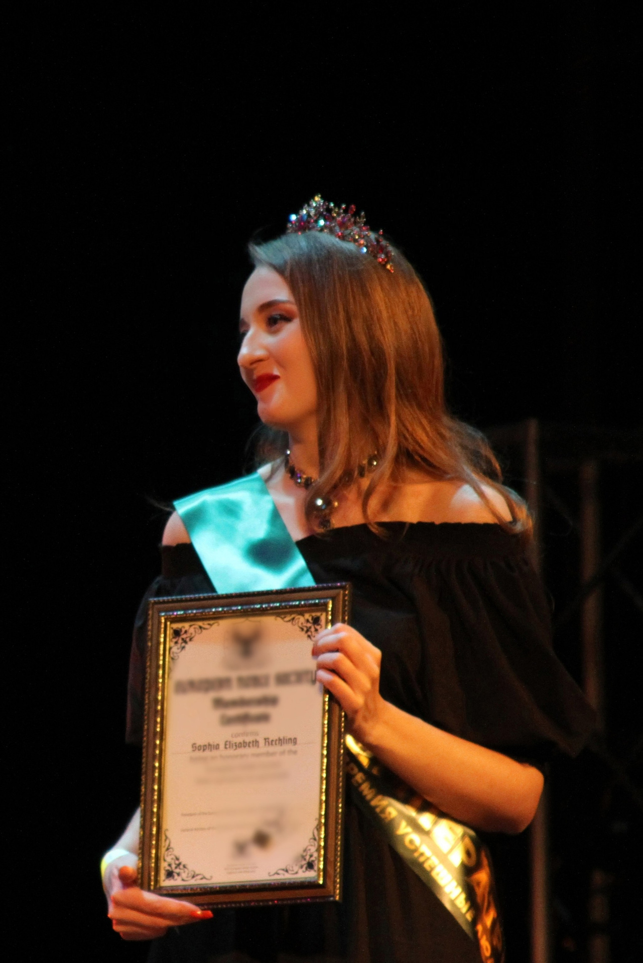 大師班. 根據照片訂購繪畫和肖像。藝術家 Sofia Rechling