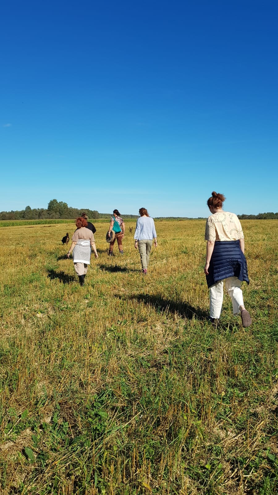 Мероприятия эко отеля в Подмосковье. Эко отдых в Подмосковье в эко-отеле Марии Гиппенрейтер