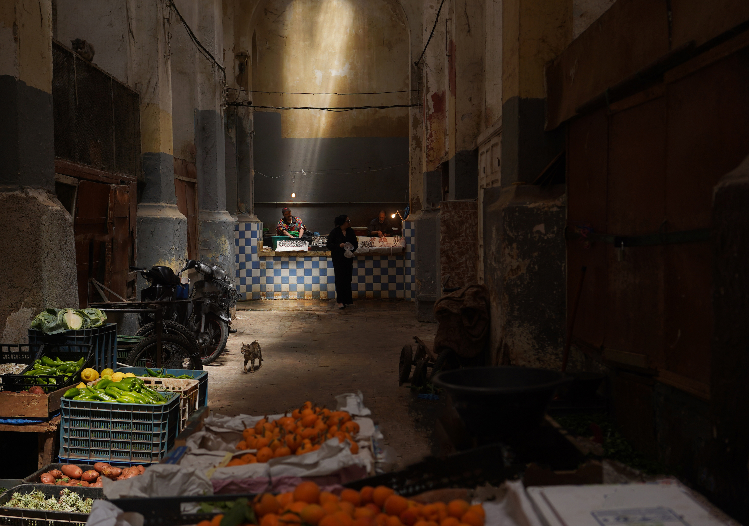 Портретный фотограф в Санкт-Петербурге Петрова Ольга