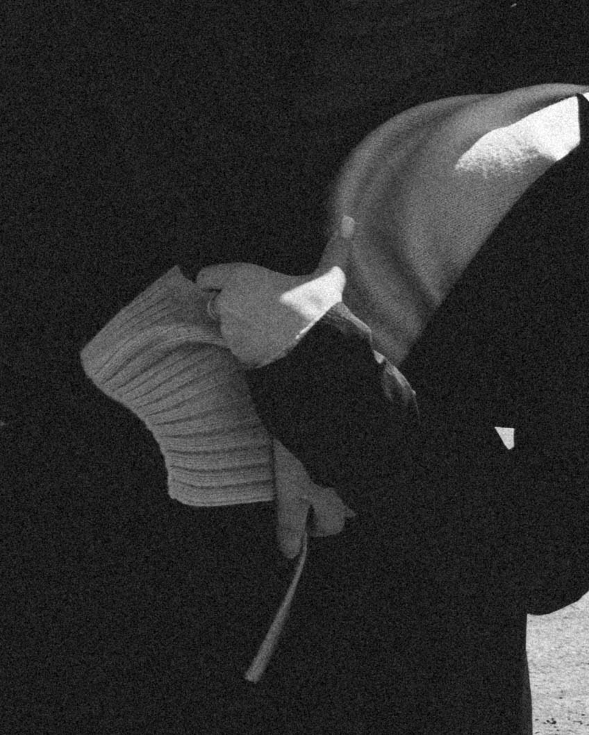 Услуги. Фотограф Ксения Соколова — портретная, свадебная и семейная съемки в Барнауле