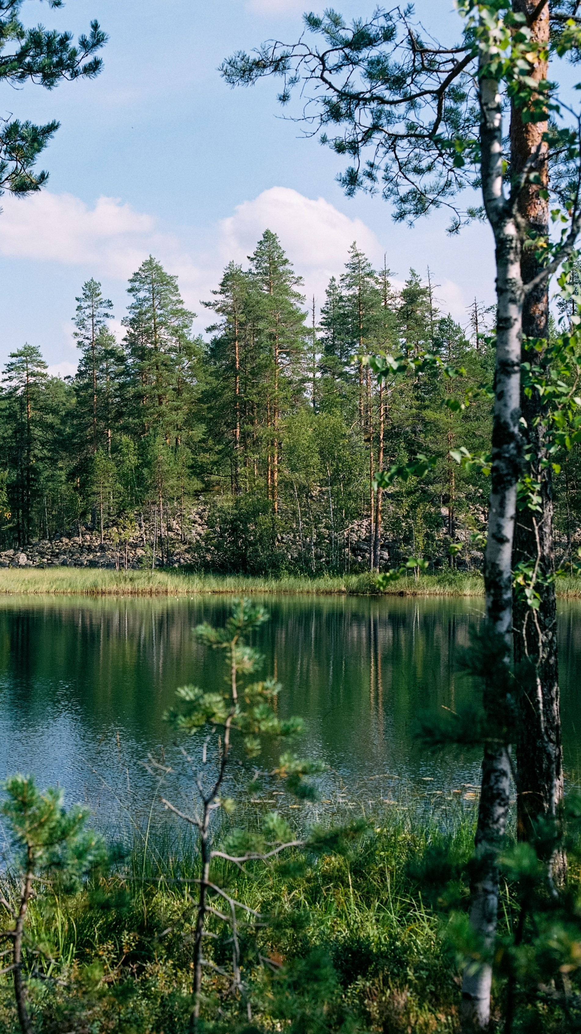 Карелия 2024. Стилист и плёночный фотограф Анастасия Шлокова в Санкт-Петербурге и Москве